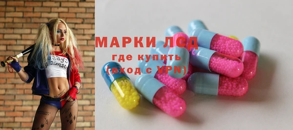 прущие грибы Ельня