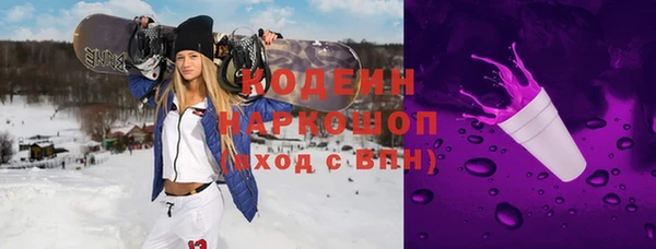 прущие грибы Ельня