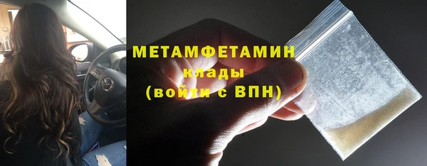 прущие грибы Ельня