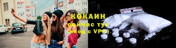 прущие грибы Ельня