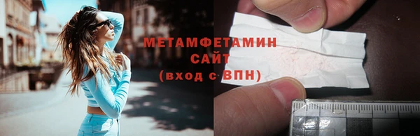 прущие грибы Ельня