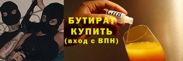 прущие грибы Ельня