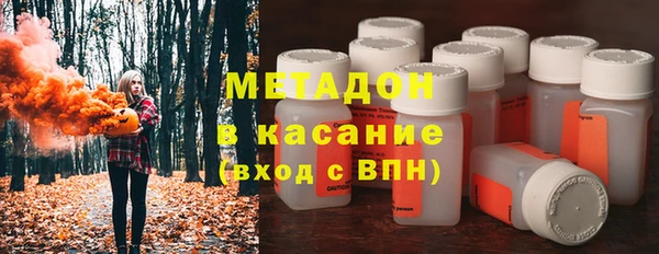 прущие грибы Ельня