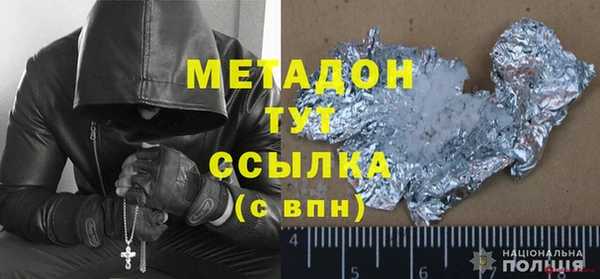 прущие грибы Ельня