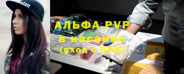 прущие грибы Ельня